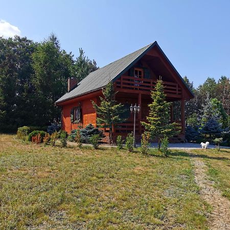 Domek Na Wsi Nad Jeziorem , Prywatny Staw Kamienczyk Dezerta Екстериор снимка
