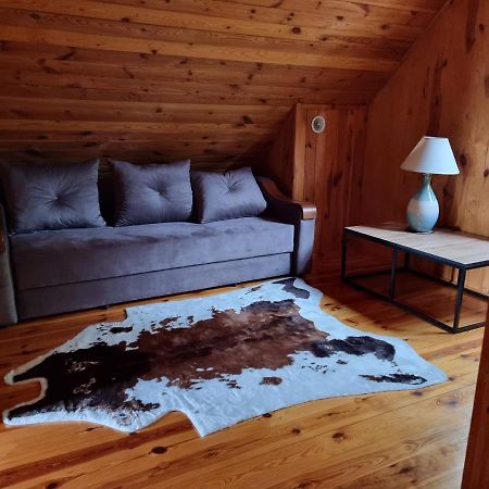 Domek Na Wsi Nad Jeziorem , Prywatny Staw Kamienczyk Dezerta Екстериор снимка